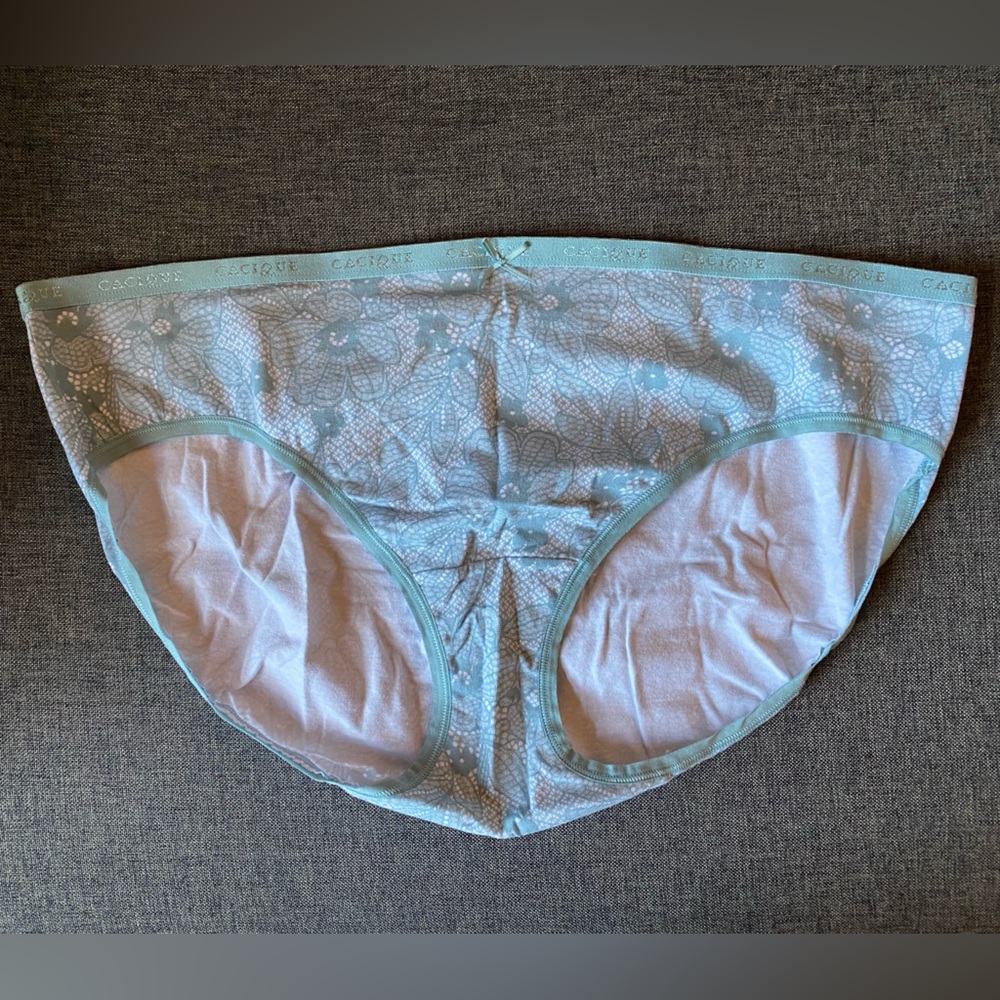 5/$25 NWOT Cacique cotton hipster panties size 18/20